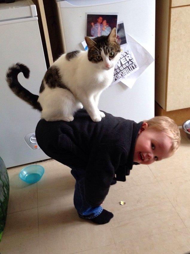 7. Just a cat owning a pet human