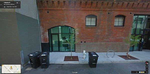 2. San Francisco, California'da bir ayı, bir ofisin camından bakmakta.