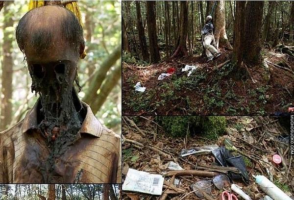 Yıldan yıla artması ve özendirici bulunması nedeniyle Japonya bu ormandaki intiharların sayısını resmi olarak açıklamıyor fakat sayının yıl başına 50-100 arası olduğu tahmin ediliyor.