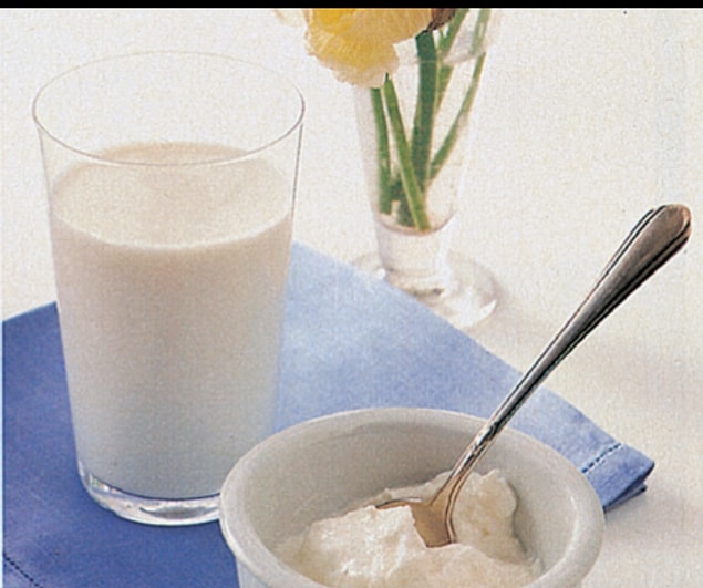 Yoğurt