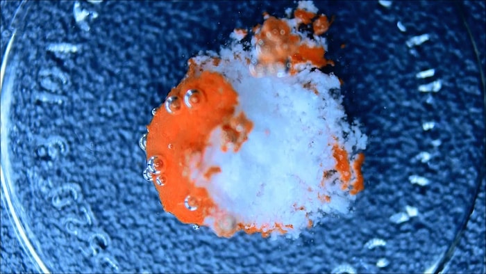 Her Gün Kullandığınız İlaçların Vücudunuzda Nasıl Dağıldığını Merak Etmiş miydiniz?