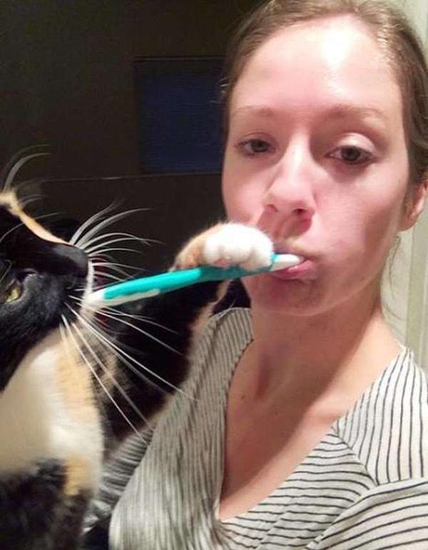7. Diş fırçalamak hojdir ama benaneee.