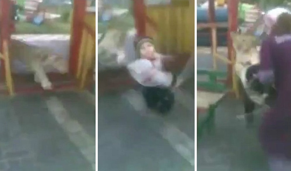 Parkta Oynayan Çocuğa Saldıran Başı Boş Aslan
