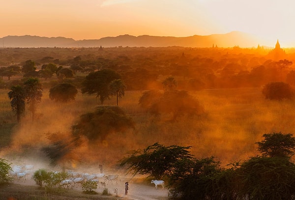 8. Баган, Мьянма