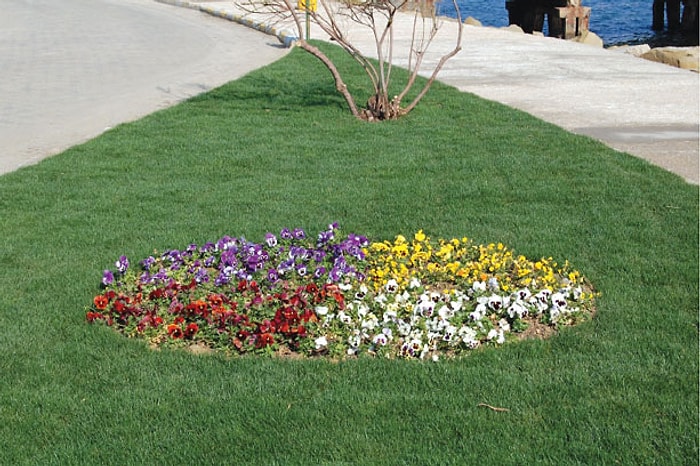 Türk Park ve Bahçe Düzenlemesi Sanatından Benzersiz 32 Örnek