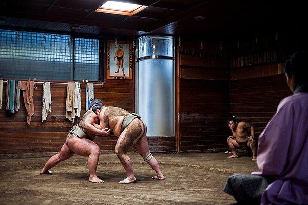 1. Sumo güreşçileri normal Japon erkeklerine kıyasla 20 yıl daha az yaşıyorlar!