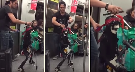 Rockçı Kukladan Metroda Enfes Gösteri