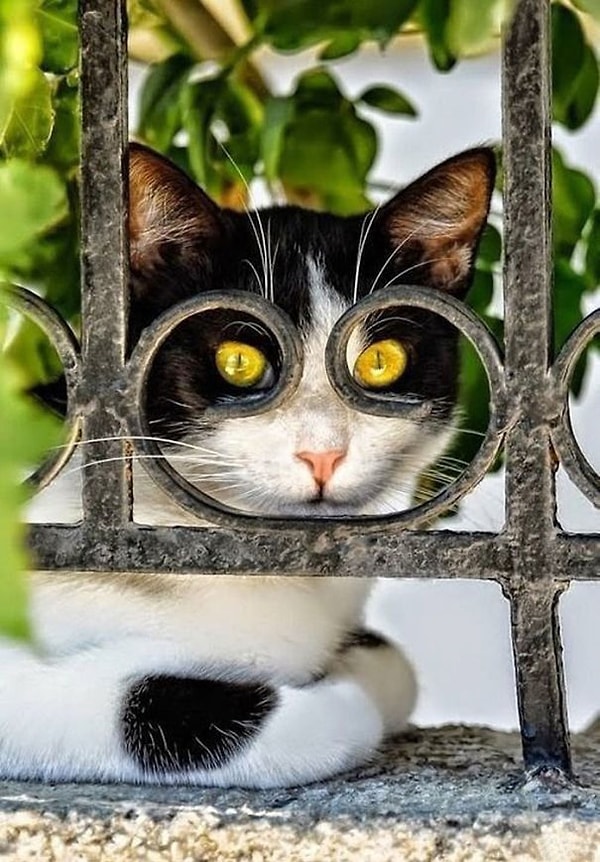 7. Все за девками наблюдает