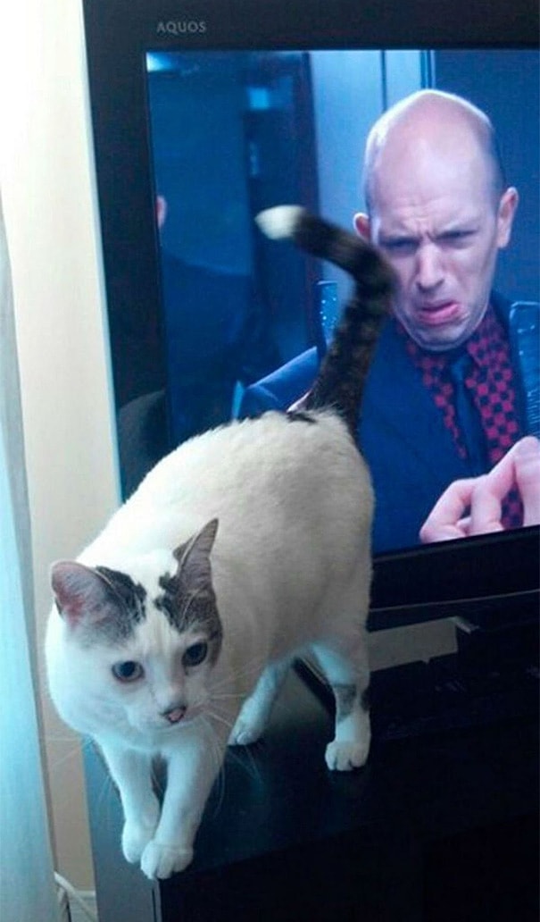 ''Это еще что такое?!''