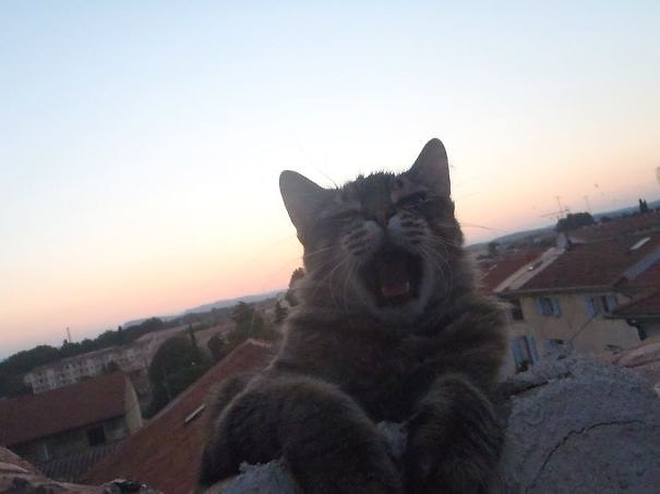 "Держи меня, сейчас упадуу!''