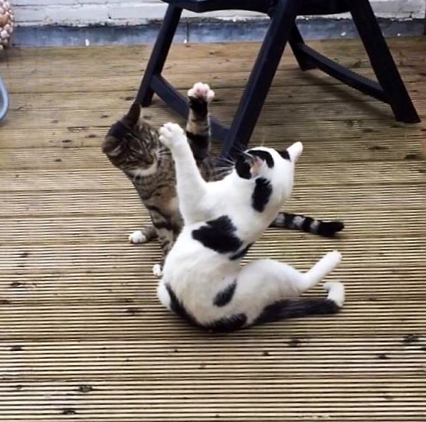 27. ''Дай пять!''