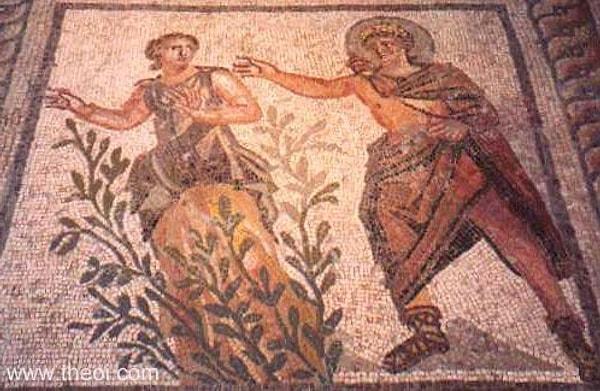 14. Efsanenin Antakya'nın Harbiye Belde'sinde geçtiği söylenmektedir. Antakya Mozaik Müzesind Apollon ile Daphne'nin mozaiği bulunmaktadır.