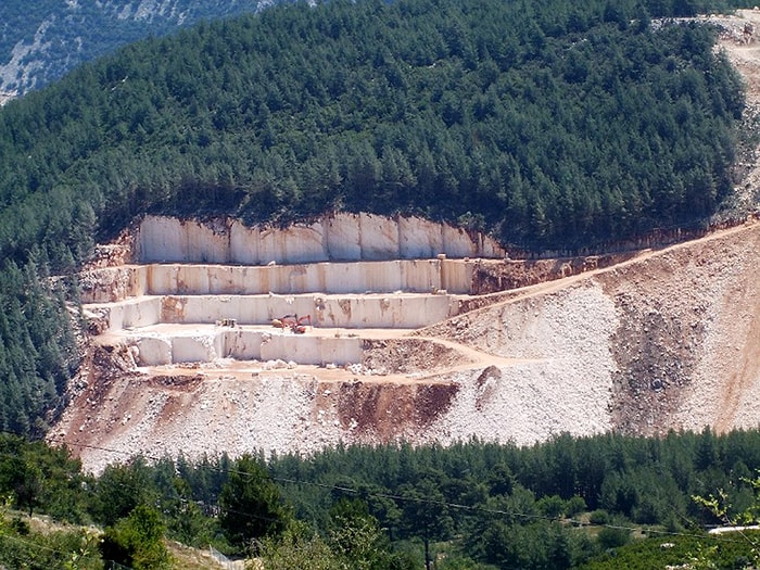 Finike'de Sedir Kıyımına Mahkemeden İptal Kararı