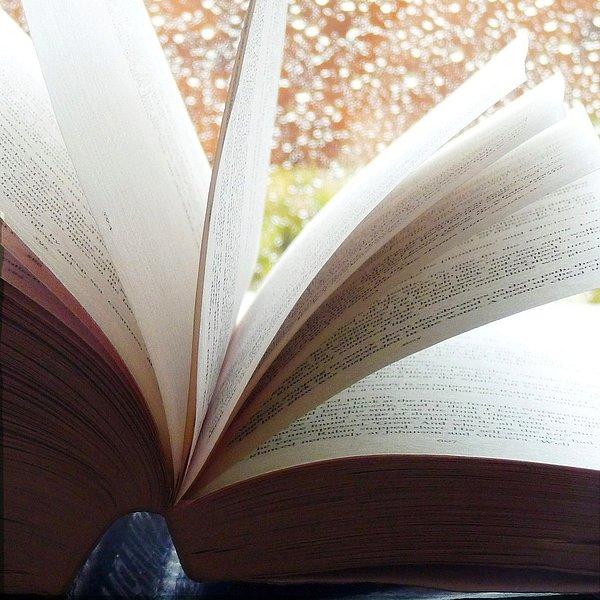 10. Edebiyat: Dışarda yağmur, elimde kitap. İşte hayat...