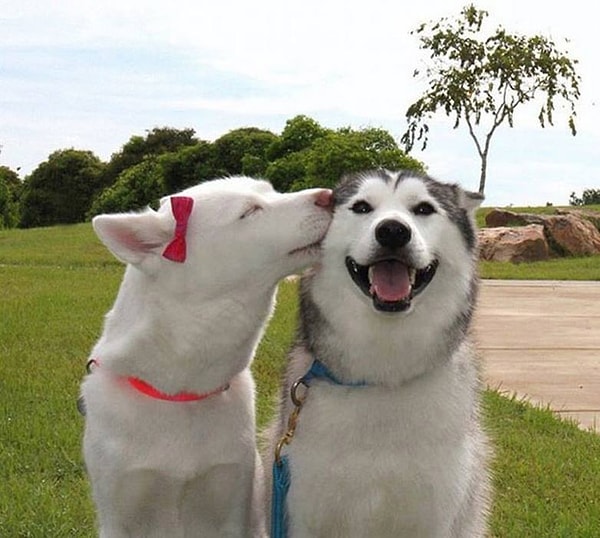 5. Иногда счастье от поцелуя бывает таким огромным!