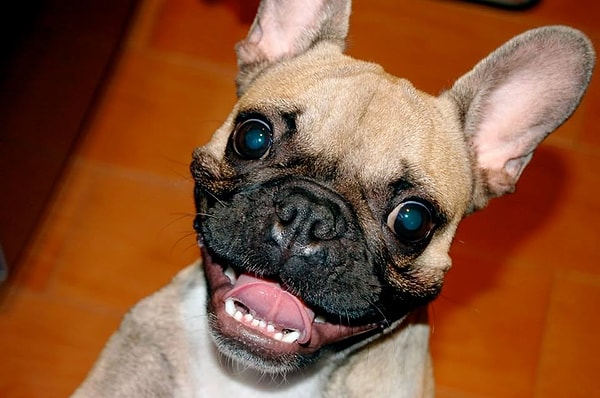 8. Не стоит стесняться в выражении своих чувств, радуйтесь жизни открыто!