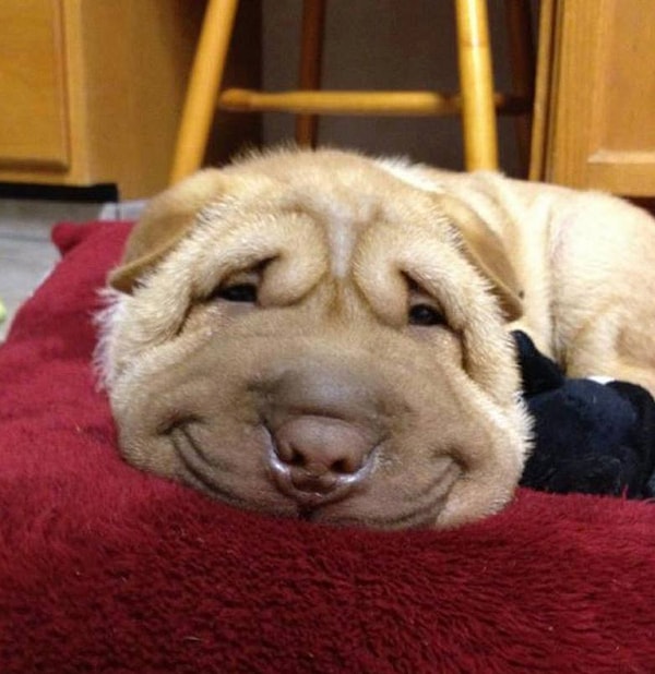 10. "Все совершают ошибки, ну и что?"