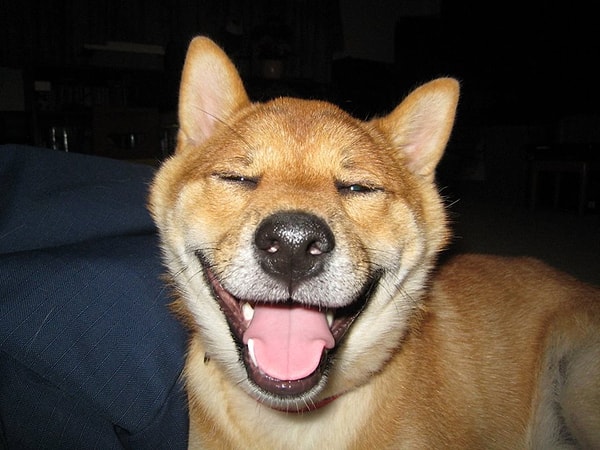 13. Когда хочется скрыть, что вчерашний вечер прошел просто потрясающе, но не получается