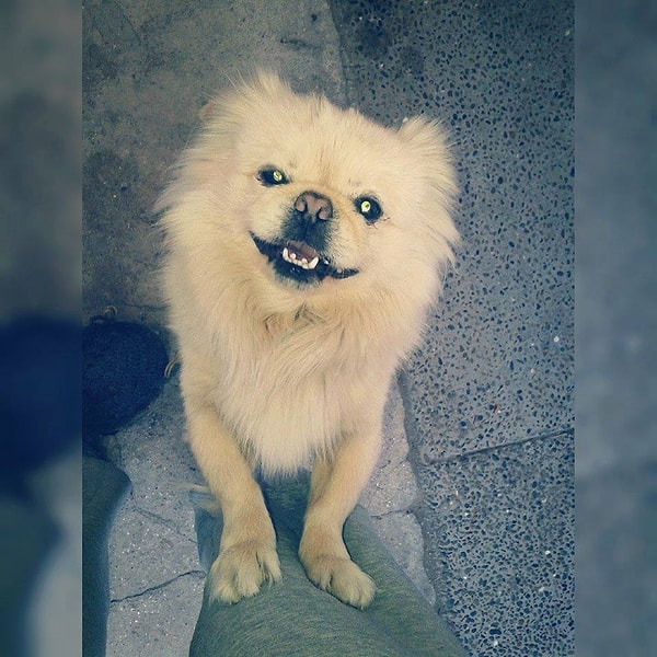 16. От радости готовы броситься в объятия любого