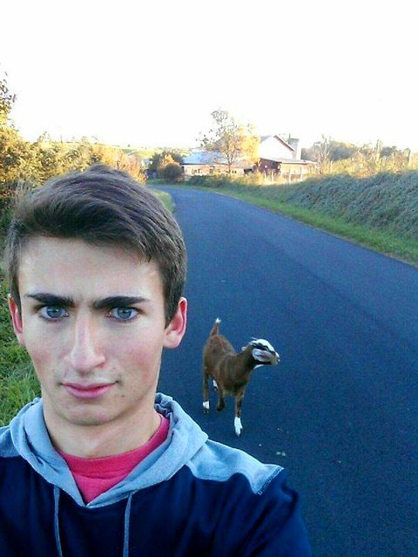 Görenlerin önce kaşlara ardından, Chirv adlı kullanıcıyı takip eden keçiye takılıp kaldığı fotoğrafın orijinali şöyle: