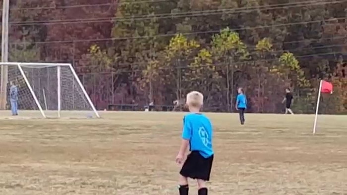 Sahaya Giren Geyikten Muhteşem Performans!