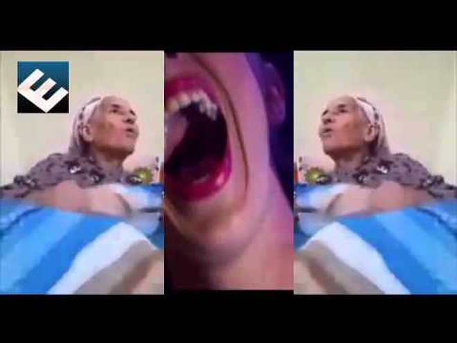 Bokumu Ye - Animals Versiyon