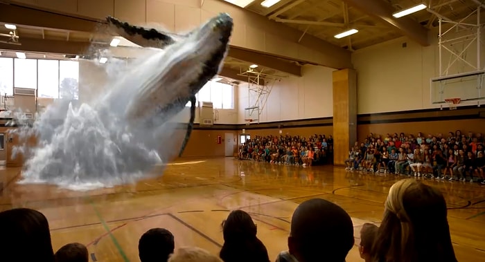 3 Boyutlu Kısa Ama Büyüleyici Bir Gösteri!