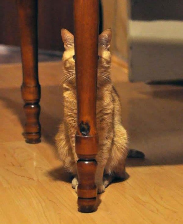 1.