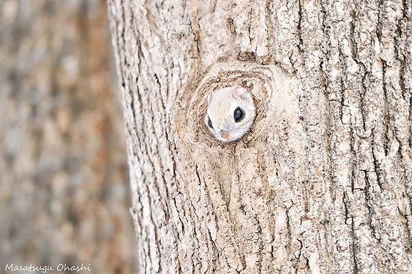 Маленький и крохотный