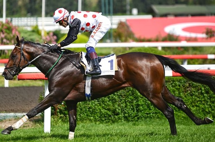 6'lı Ganyanı Neredeyse 5'liye Çevirmiş 23 Efsane Yarış Atı