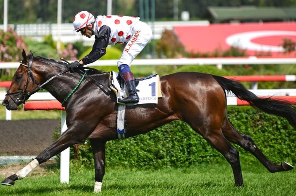 6'lı Ganyanı Neredeyse 5'liye Çevirmiş 23 Efsane Yarış Atı