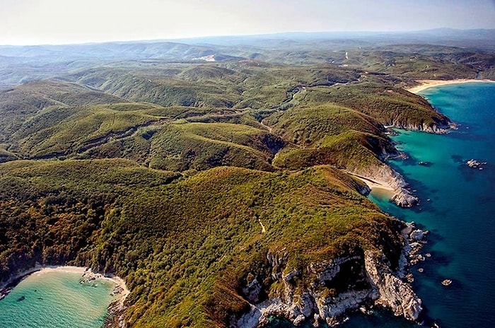 Longoz Ormanına TOMA Fabrikası