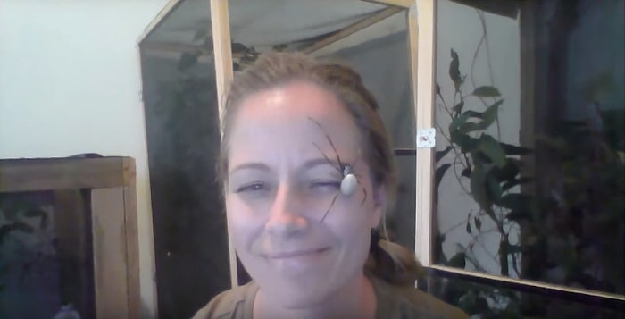 Aynı Ortamda Olsanız Koşarak Kaçacağınız Örümceği Suratında Gezdiren Çılgın Kadın