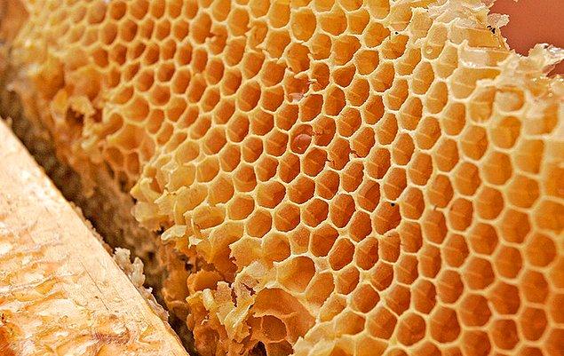 15. Bal arılarının en büyüğü Himalaya Bal Arısı, kabilelerin topladığı halüsinojenik bir bal yapar.