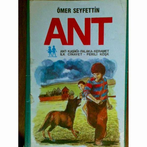 1. Ant