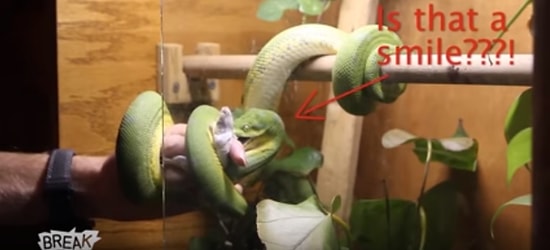 Hayatlarının En Kötü Gününü Geçiren Şanssız İnsanlar