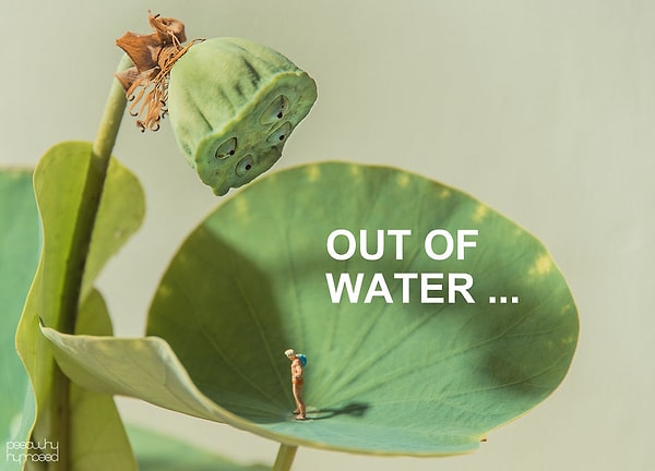 9. Когда закончилась вода...