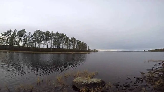 Köpeğini Kurtarmak İçin Hiç Düşünmeden Buz Tutmaya Başlayan Göle Atlayan İsveçli Avcı