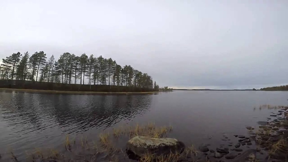 Köpeğini Kurtarmak İçin Hiç Düşünmeden Buz Tutmaya Başlayan Göle Atlayan İsveçli Avcı