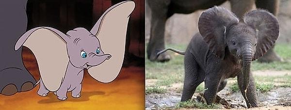 1. Dumbo,Dumbo