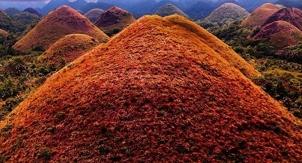 16. Çikolata Tepeleri (Filipinler)