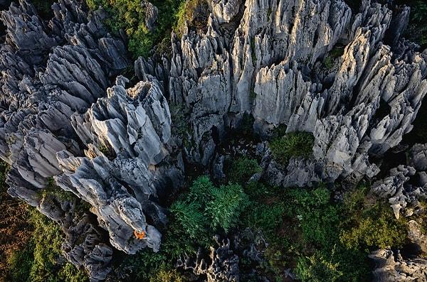 17. Stone Forest (Madagaskar)