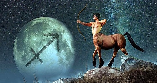 Таких представителей знаков зодиака вы еще не видели!