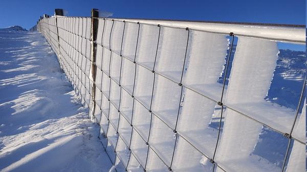 2. Donmuş bir çitin daha güzel olması için ekstra efektlere ihtiyacı yoktur.