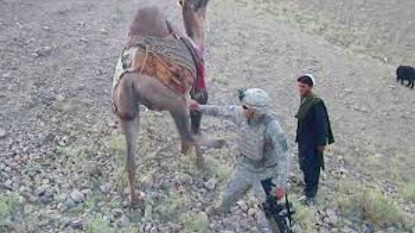 4. Afganistan'da bir devenin ABD askerine attığı bu tekme