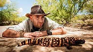 Tehlikeli Canlılarla Uğraşıp Durmasıyla 'Yürek Yemiş Bu' Dedirten Adam: Coyote Peterson