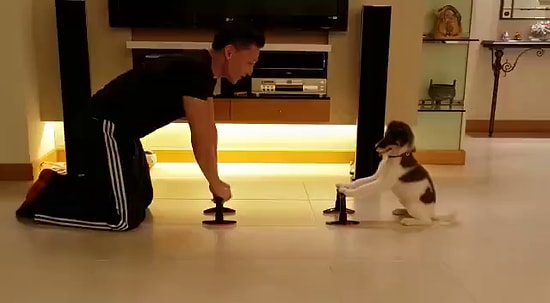 Sahibiyle Birlikte Spor Yapan Dünyanın En Fit Köpeği