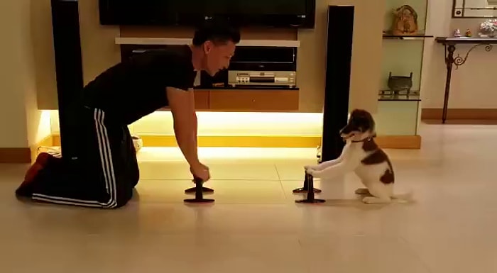 Sahibiyle Birlikte Spor Yapan Dünyanın En Fit Köpeği