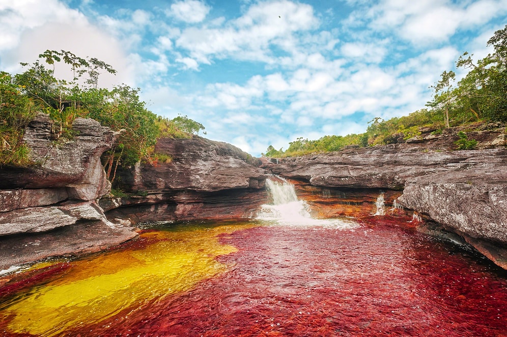 Cennete Doğru Akan Dünyanın En Güzel Nehri: Cano Cristales