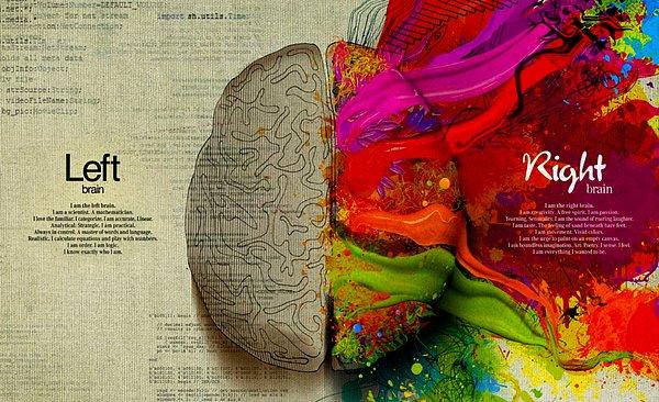Sol beynimiz mantıklı yanımızı, sağ beynimiz ise duygusal yanımızı temsil eder. Eğer sağ yarımküre kontrolden çıkarsa duygularımız kontrolümüz dışında işlevlerini sürdürmeye devam eder.